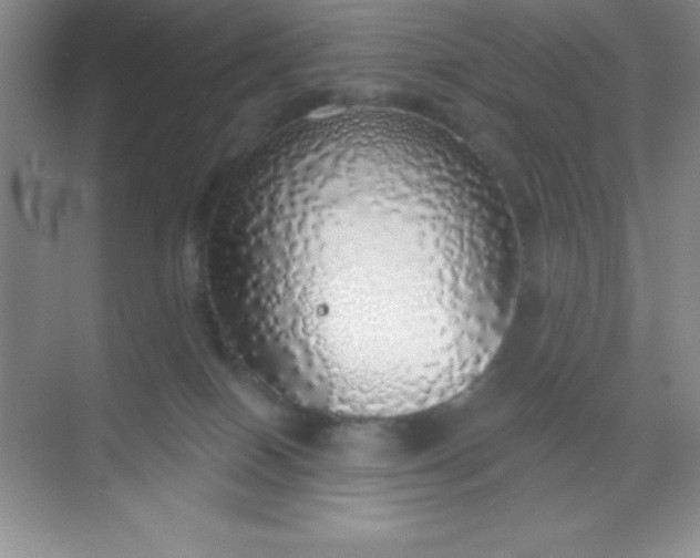 X0000068840086200605191936