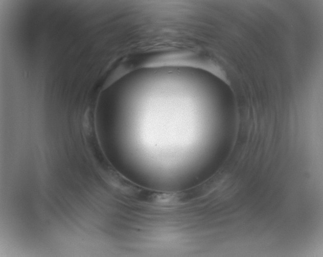 X0000068840088200605191936