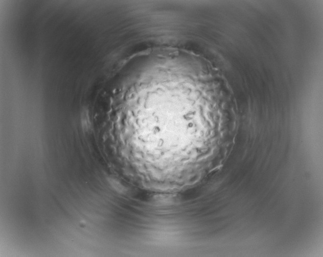 X0000068840089200605191936