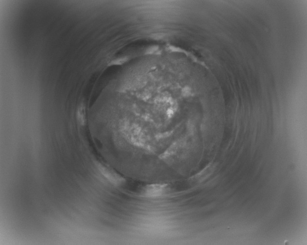 X0000068840090200605191936