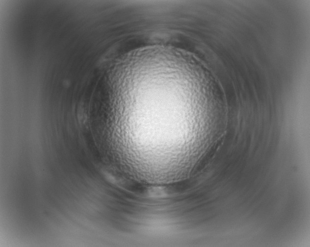 X0000068840091200605191937