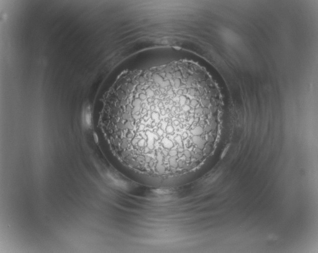 X0000068840095200605191937