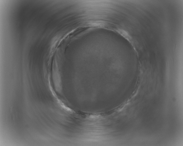 X0000068840097200605191936