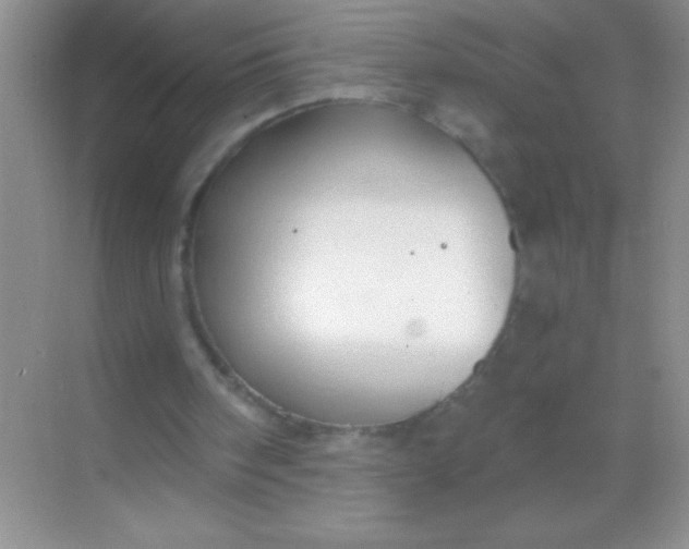 X0000068840098200605191936