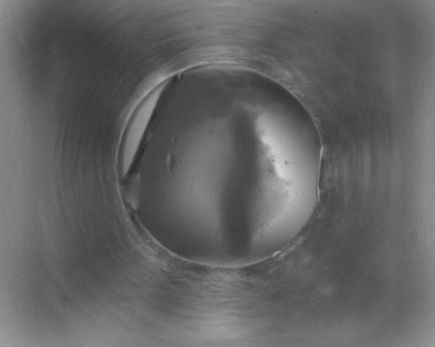 X0000068840099200605191936