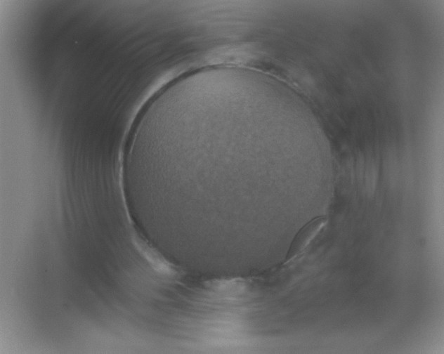 X0000068840100200605191936