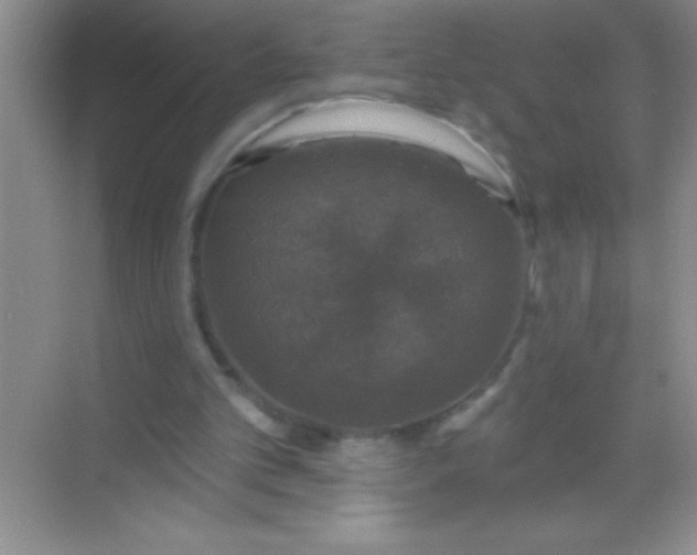 X0000068840101200605191936