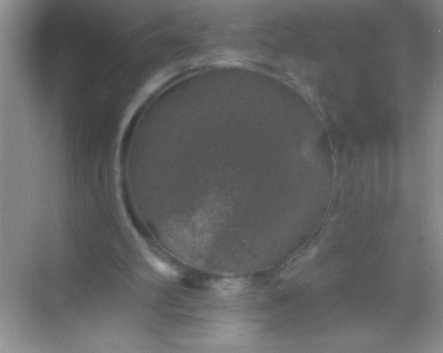 X0000068840102200605191936