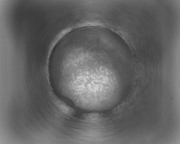 X0000068840104200605191936