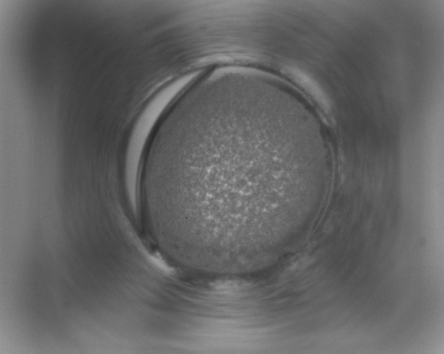 X0000068840105200605191936