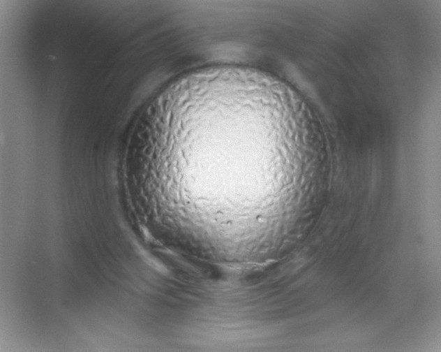 X0000068840106200605191936