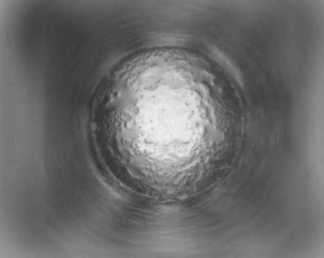 X0000068840107200605191936