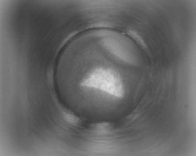 X0000068840108200605191936