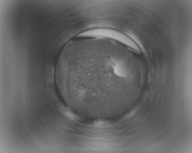 X0000068840109200605191936