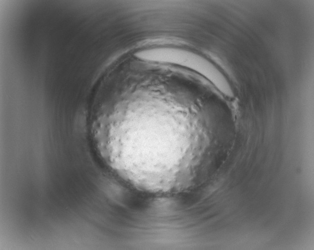 X0000068840111200605191936