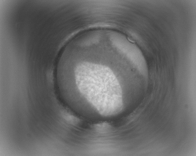 X0000068840112200605191936