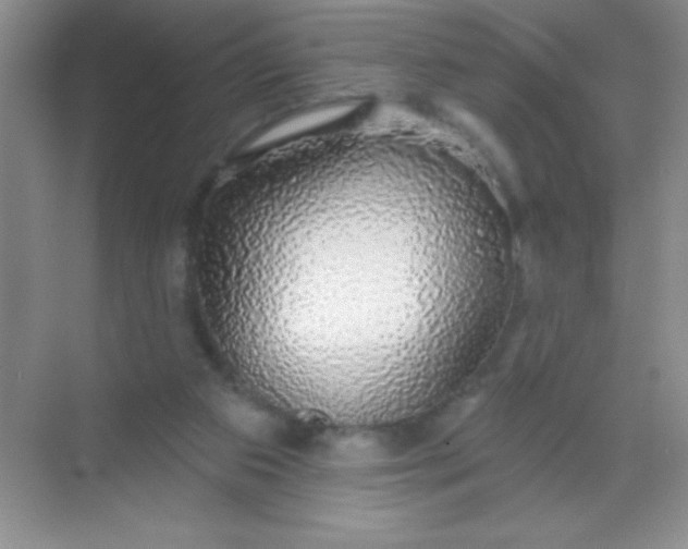 X0000068840113200605191936