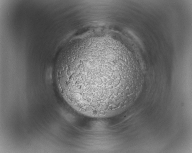 X0000068840115200605191935