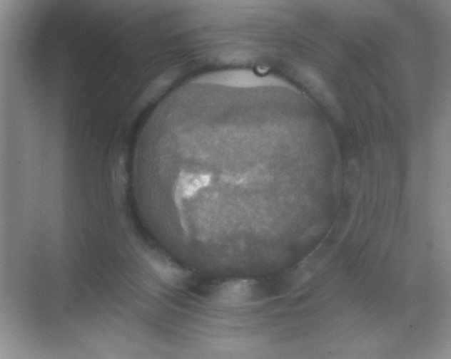 X0000068840116200605191935