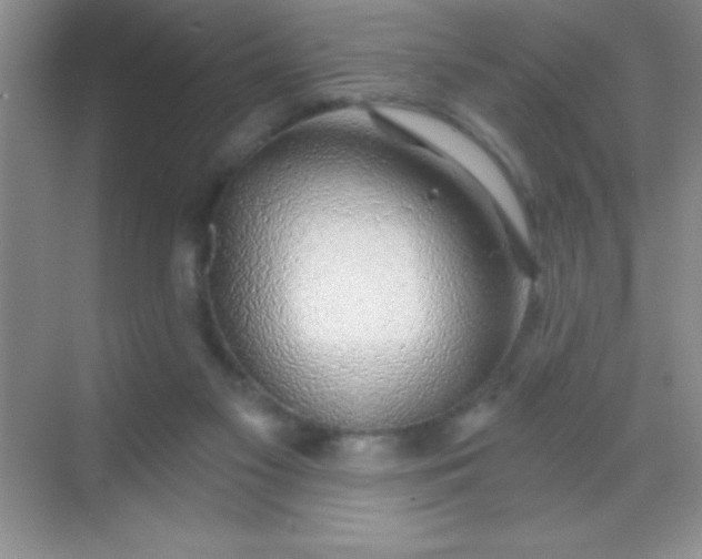 X0000068840117200605191935