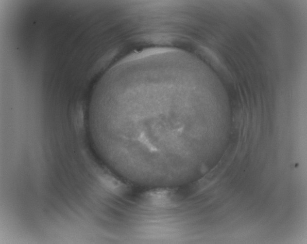 X0000068840120200605191935