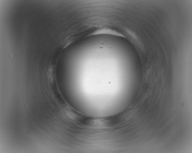 X0000068840121200605191935