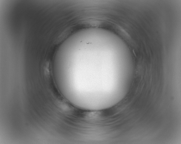 X0000068840122200605191935