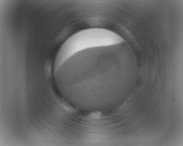 X0000068840124200605191935