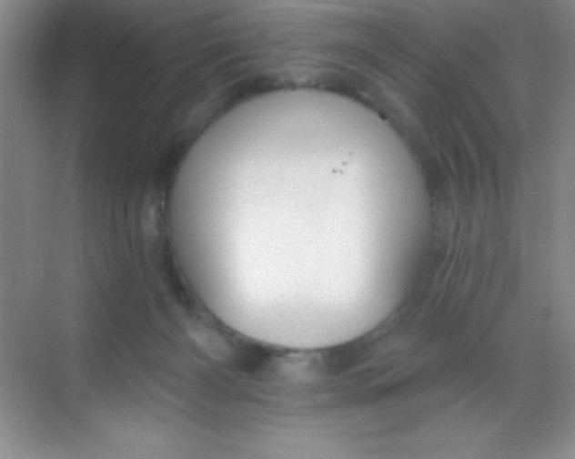 X0000068840126200605191935