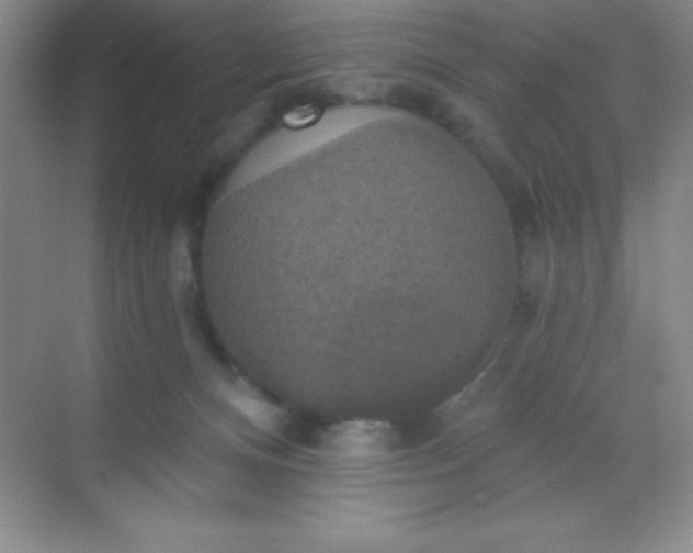 X0000068840128200605191935