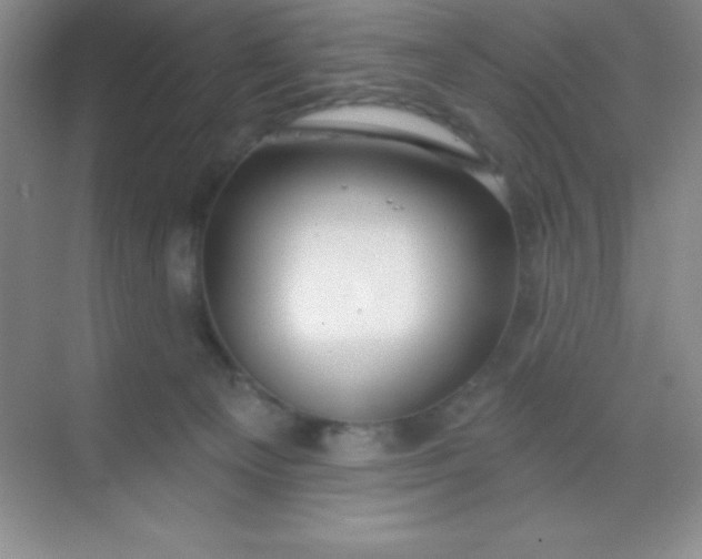 X0000068840129200605191935