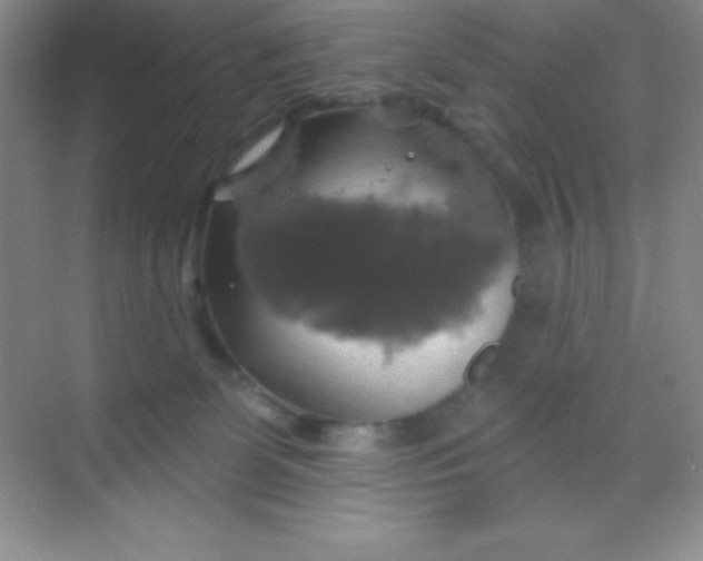 X0000068840131200605191935