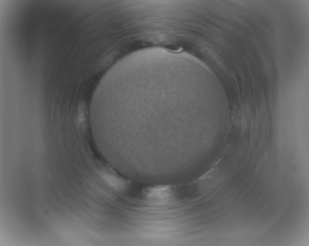 X0000068840132200605191935