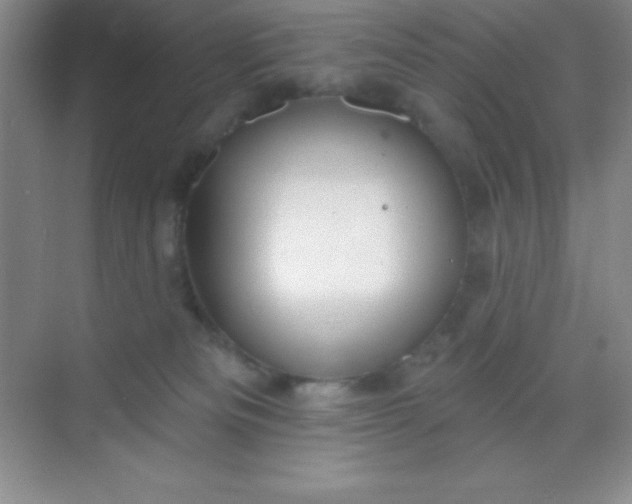 X0000068840133200605191935