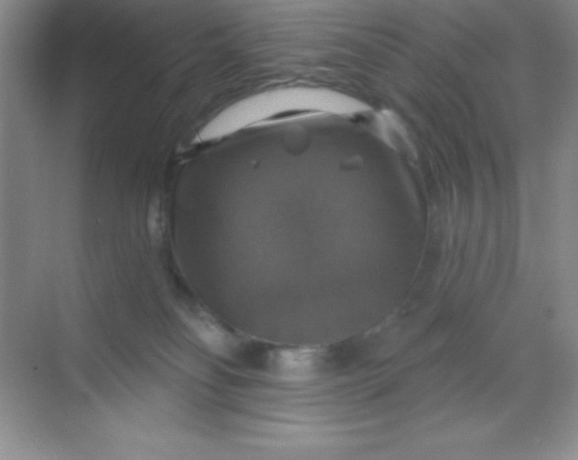 X0000068840134200605191935