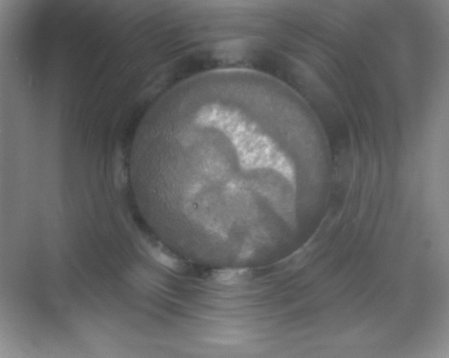 X0000068840136200605191935