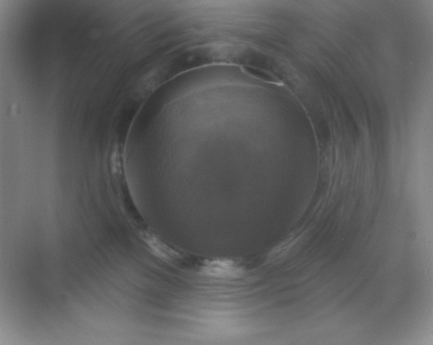 X0000068840137200605191935