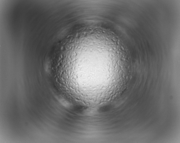 X0000068840138200605191935