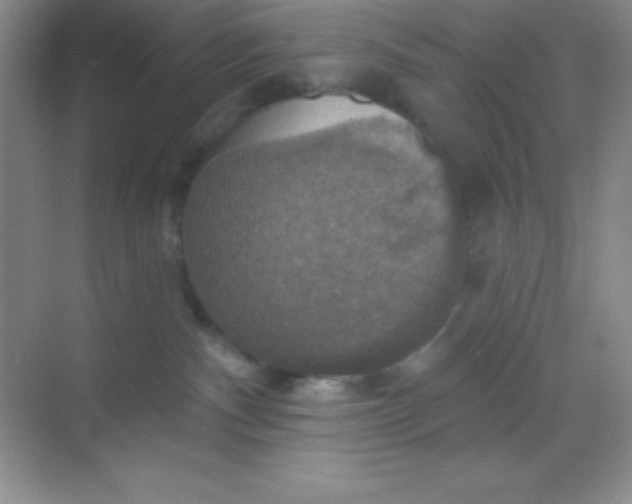 X0000068840140200605191935