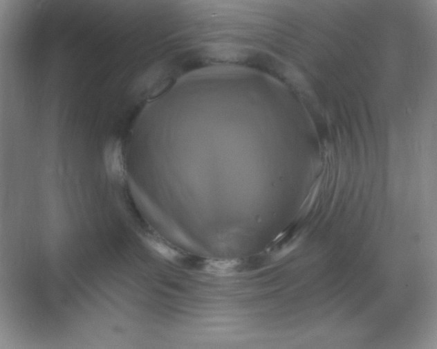 X0000068840143200605191935