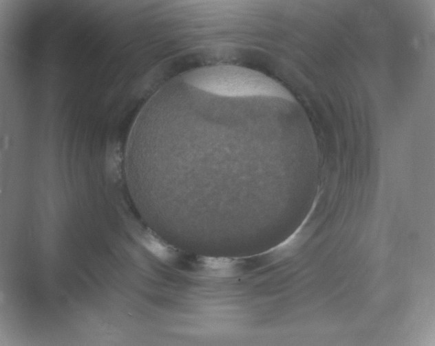 X0000068840144200605191935