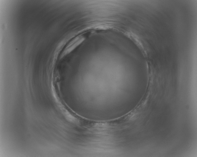 X0000068840145200605191934