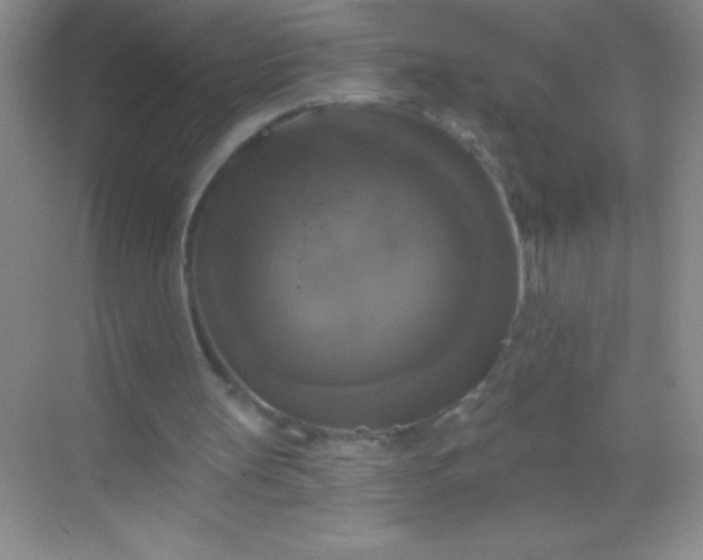 X0000068840147200605191934