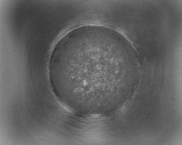 X0000068840151200605191934