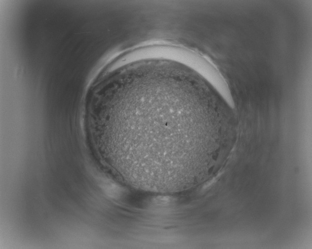 X0000068840152200605191934