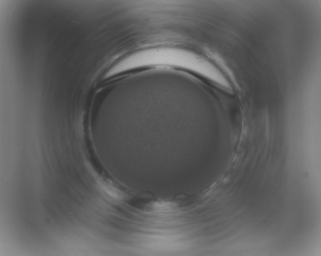 X0000068840154200605191934