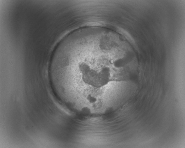 X0000068840155200605191934