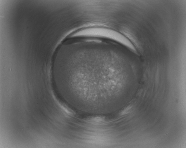 X0000068840156200605191934