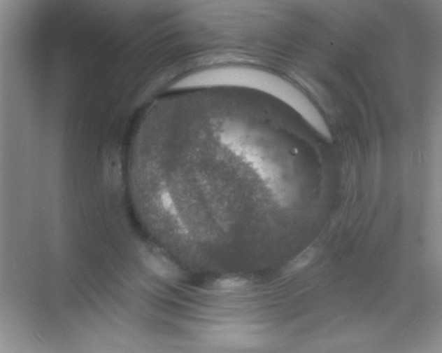 X0000068840158200605191934