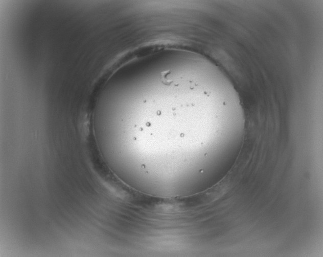 X0000068840160200605191934